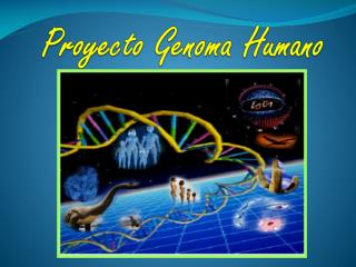 Proyecto Genoma Humano