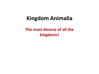 Kingdom Animalia