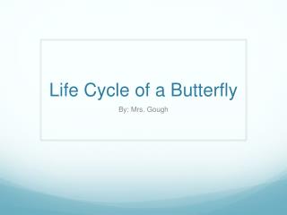 Life Cycle of a Butterfly