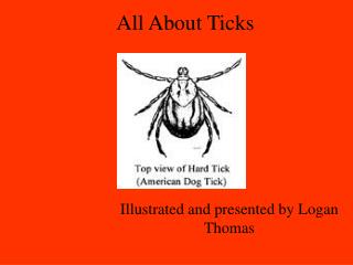 All About Ticks