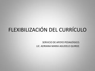 FLEXIBILIZACIÓN DEL CURRÍCULO