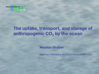 The uptake, transport, and storage of anthropogenic CO 2 by the ocean