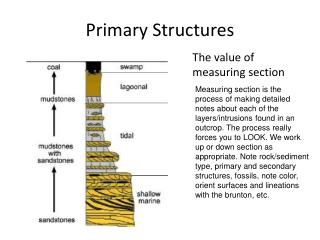 Primary Structures