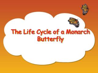 The Life Cycle of a Monarch Butterfly