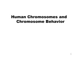 Human Chromosomes and Chromosome Behavior