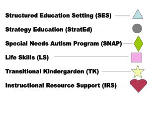 Structured Education Setting (SES) Strategy Education (StratEd)
