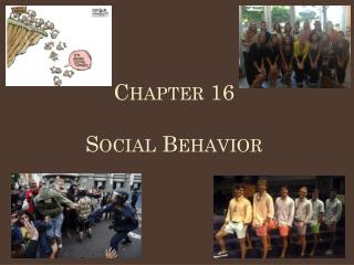 Chapter 16 Social Behavior