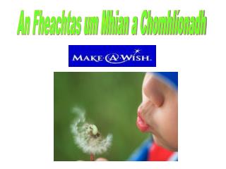 An Fheachtas um Mhian a Chomhlíonadh