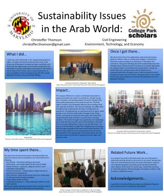 Sustainability Issues in the Arab World: