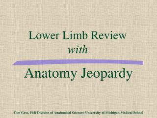 Lower Limb Review with