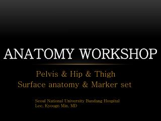 ANATOMY WORKSHOP