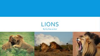 Lions