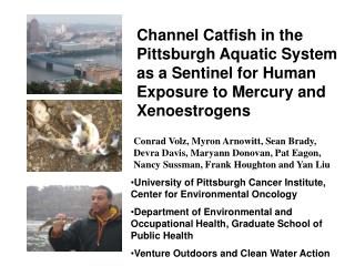 University of Pittsburgh Cancer Institute, Center for Environmental Oncology