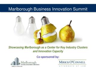 Marlborough Business Innovation Summit