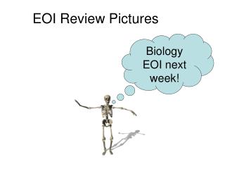 EOI Review Pictures