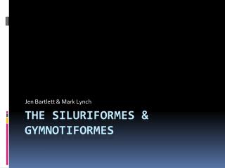 The Siluriformes &amp; Gymnotiformes
