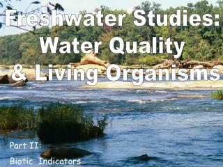Freshwater Studies: Water Quality &amp; Living Organisms