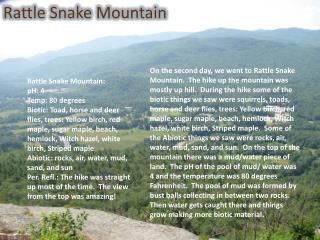 Rattle Snake Mountain