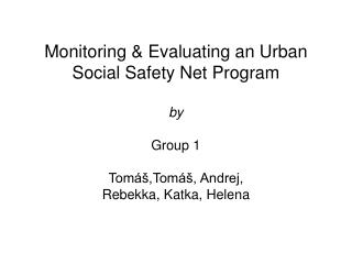 Urban Social Safety Net Program Theory of Change