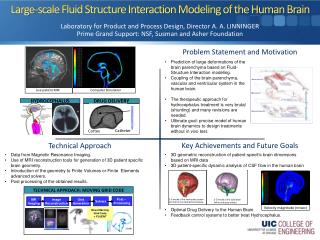 Large-scale Fluid Structure Interaction Modeling of the Human Brain