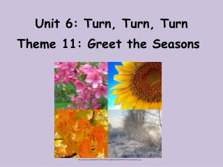 Unit 6: Turn, Turn, Turn