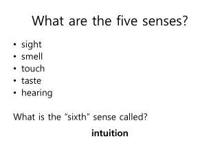What are the five senses?