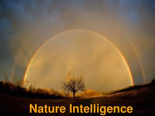 Nature Intelligence