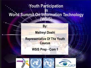 Youth Participation In World Summit On Information Technology (WSIS)