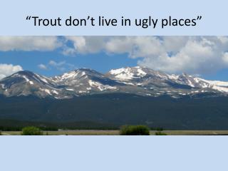 “Trout don’t live in ugly places”