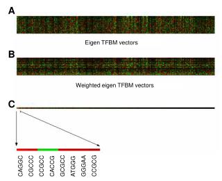 Eigen TFBM vectors