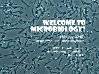 WELCOME to Microbiology!