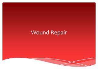Wound Repair