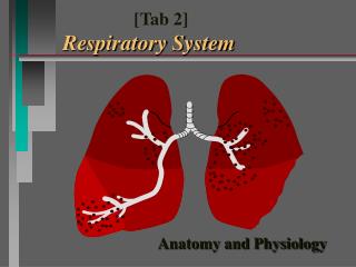 Anatomy and Physiology