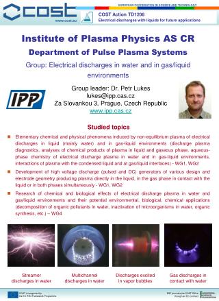 Institute of Plasma Physics AS CR Department of Pulse Plasma Systems
