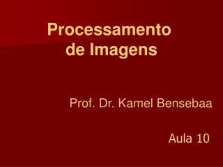 Prof. Dr. Kamel Bensebaa