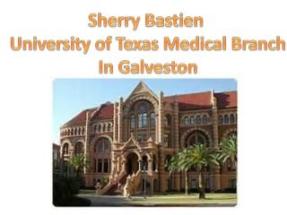 Sherry Bastien University of Texas Medical Branch In Galveston