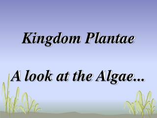 Kingdom Plantae A look at the Algae...