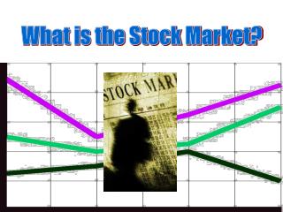 What is the Stock Market?