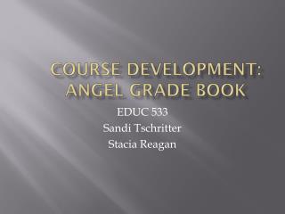 Course Development: 	ANGEL Grade Book