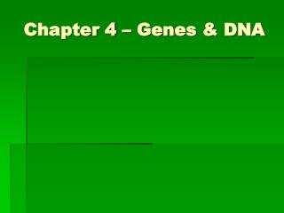 Chapter 4 – Genes &amp; DNA