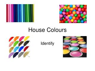 House Colours