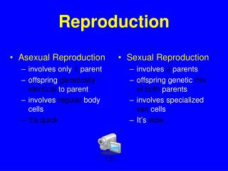 Reproduction