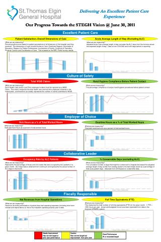 Our Progress Towards the STEGH Vision @ June 30, 2011