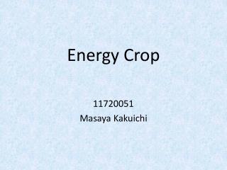 Energy Crop