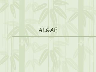 ALGAE