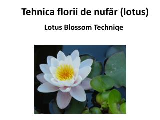 Tehnica f lo rii de nufăr (lotus)