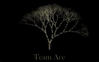 Team Ace