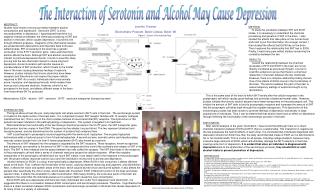 The Interaction of Serotonin and Alcohol May Cause Depression