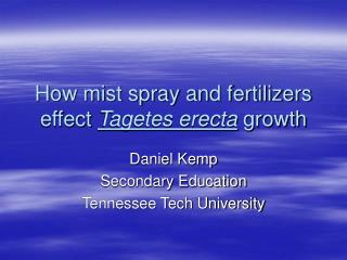 How mist spray and fertilizers effect Tagetes erecta growth