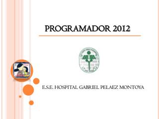 PROGRAMADOR 2012